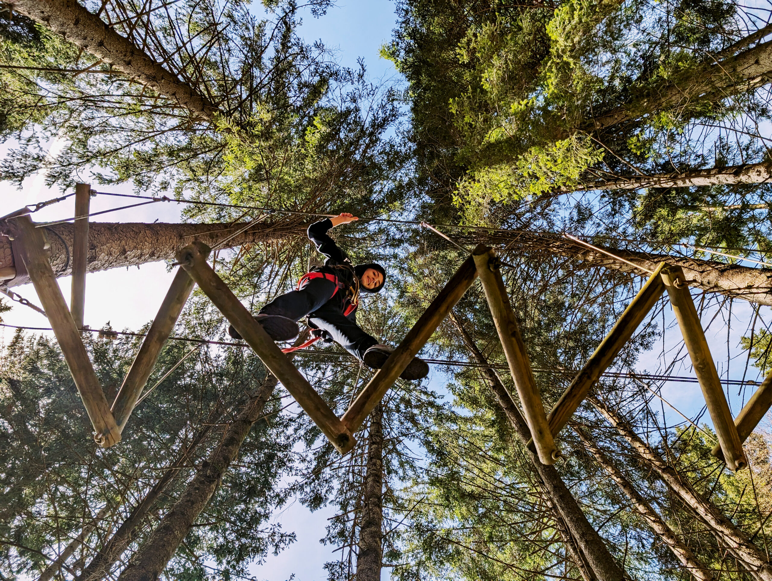 Percorsi Acrobatici in Altezza