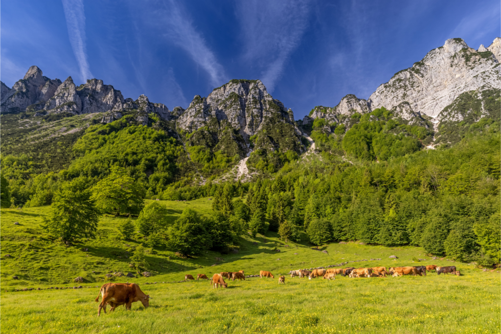 L’Anello Ecoturistico delle Piccole Dolomiti: tra le valli dell’Agno e del Chiampo
