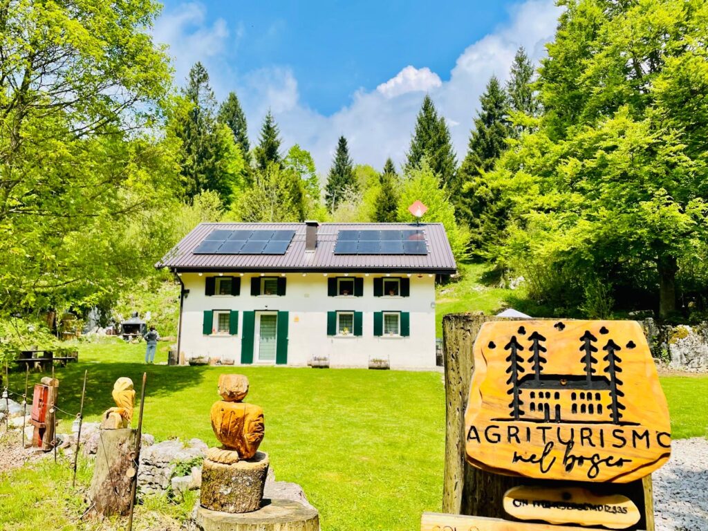 STRUTTURA_Agriturismo nel bosco