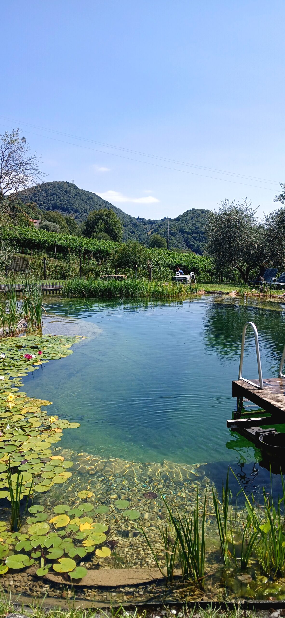 Mazzeracca Azienda Agrituristica