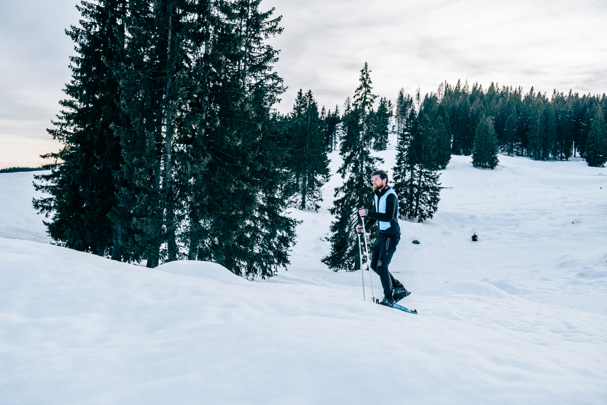 Asiago Guide