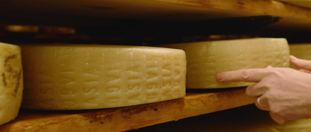 Asiago DOP: bontà genuina dall’Altopiano