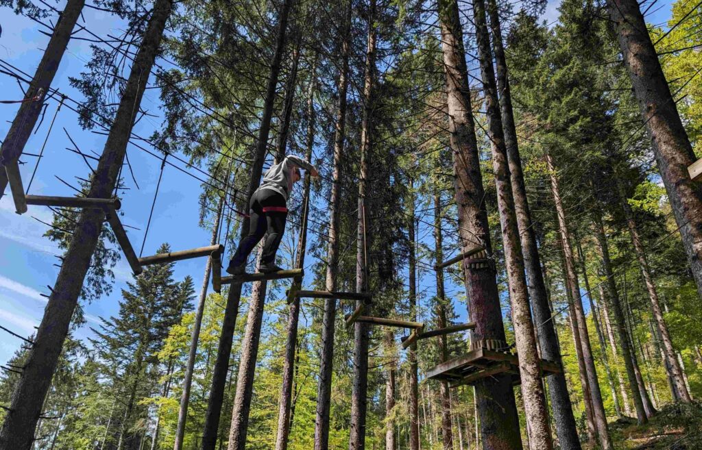 Percorsi Acrobatici in Altezza