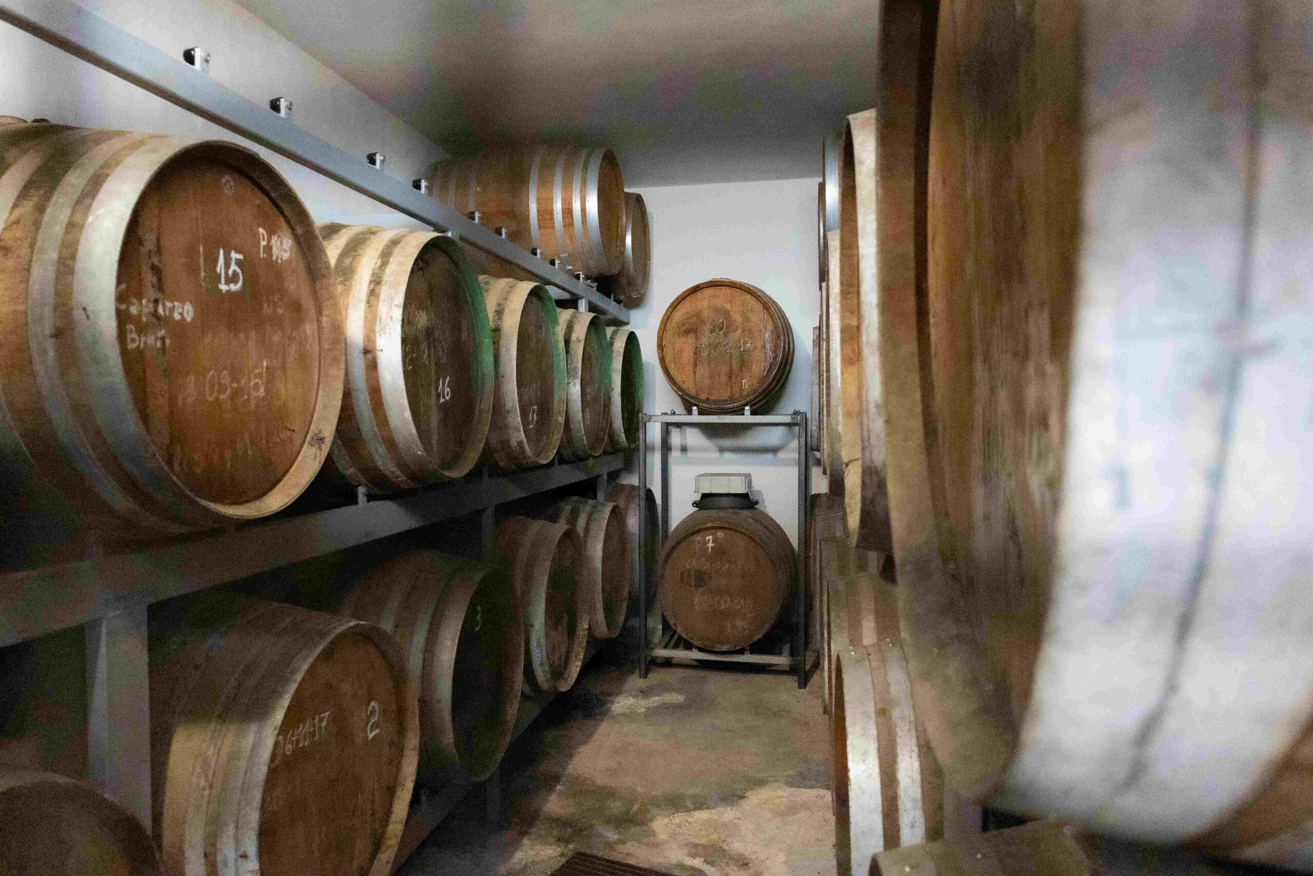 Il Palazzone: tra natura, sapori e la più antica tradizione della grappa