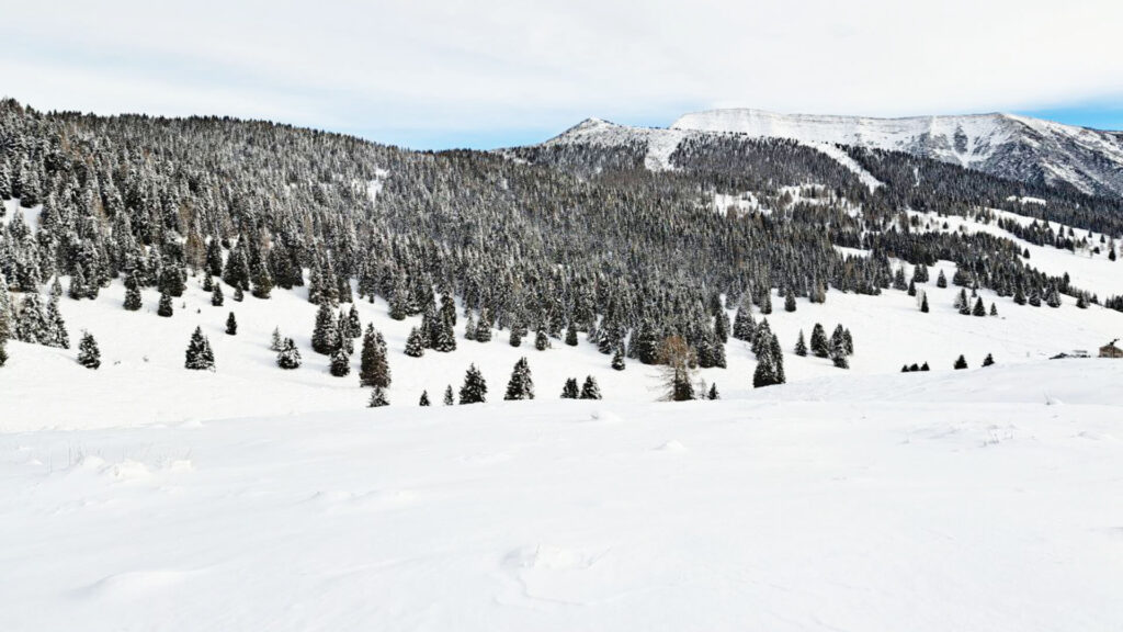 Capodanno e Carnevale ad Asiago: esperienza tra la natura, con o senza neve!