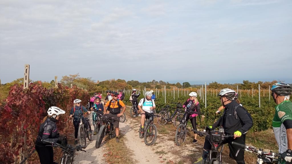 Viaggio in bicicletta nelle terre del vino, dalla Valpolicella, a Vicenza e al Cansiglio