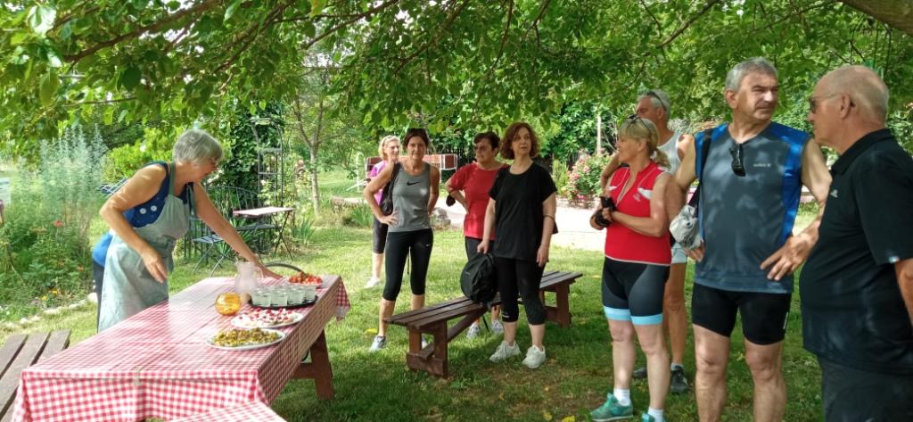 Viaggio in bicicletta nelle terre del vino, dalla Valpolicella, a Vicenza e al Cansiglio