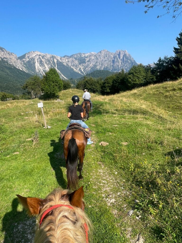 Avvicinamento al Horsemanship (attività di avvicinamento al cavallo)