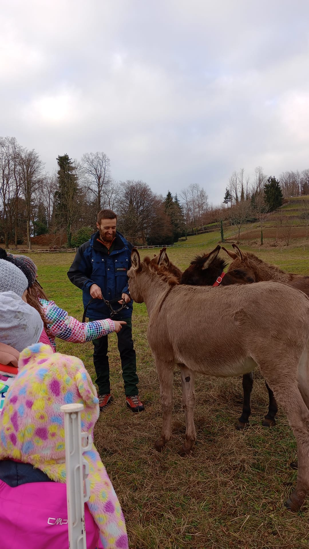 Trekking guidato con gli asini e pranzo tipico in agriturismo