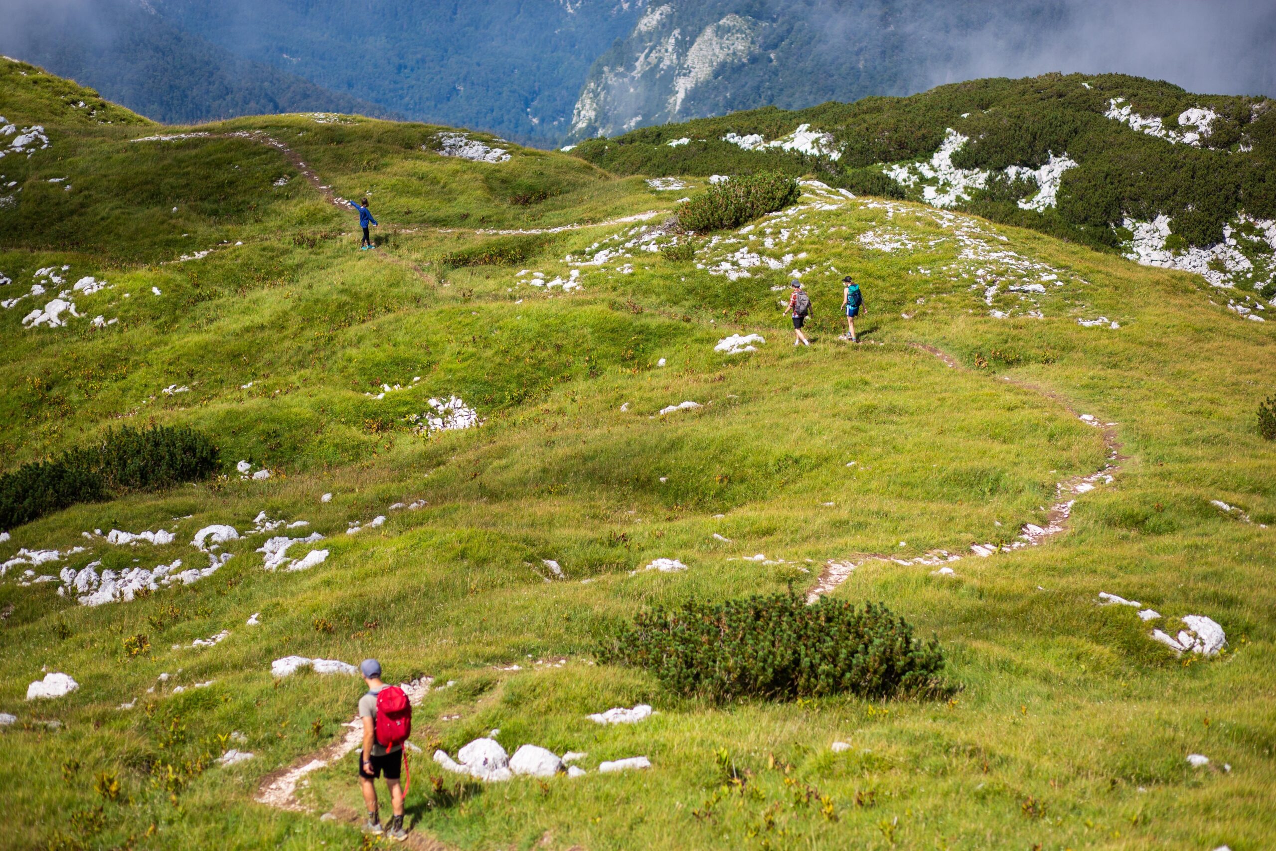 I trekking panoramici tra pascoli, malghe e foreste dell'Altopiano dei Sette Comuni