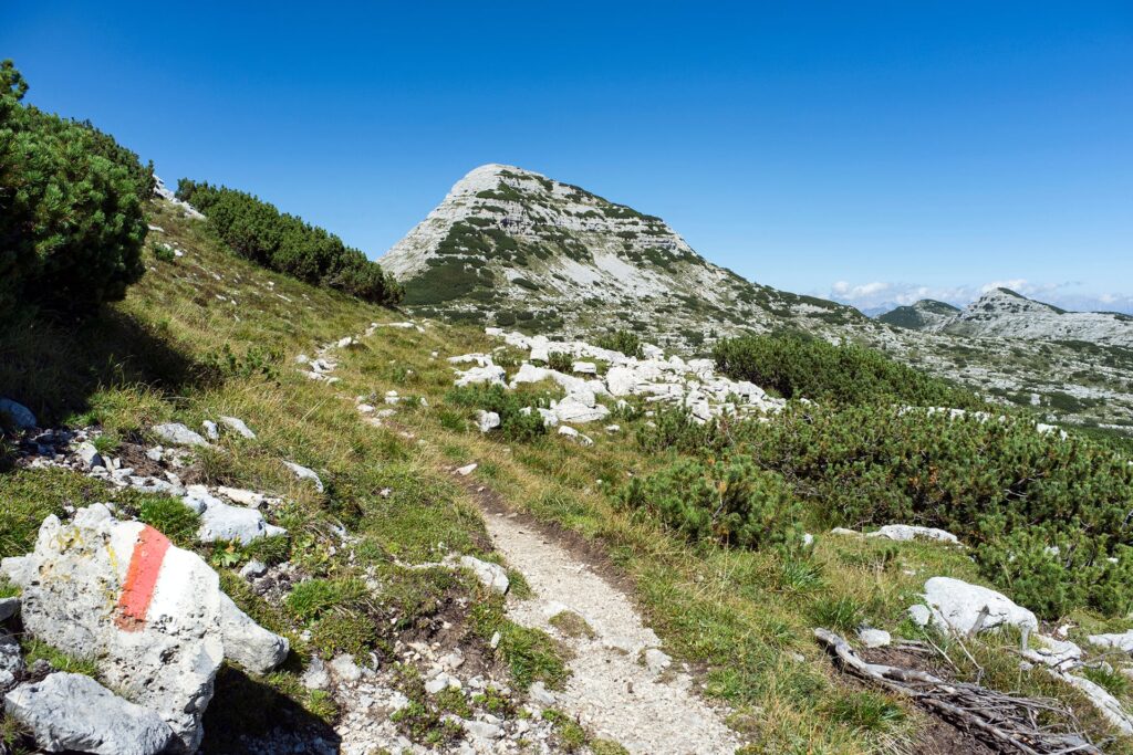 Alta Via della Grande Guerra: sentieri e natura sulle tracce della storia