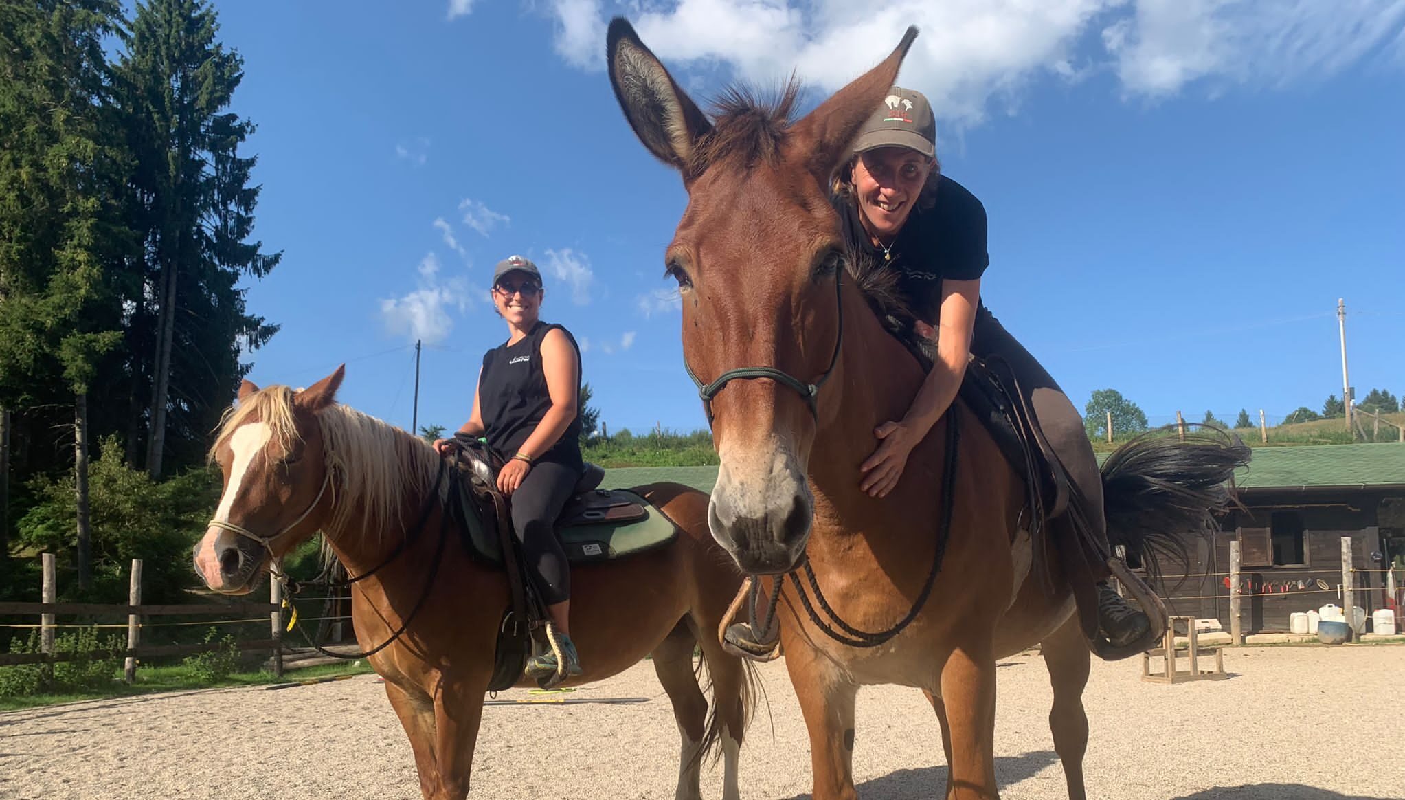 Avvicinamento al Horsemanship (attività di avvicinamento al cavallo)