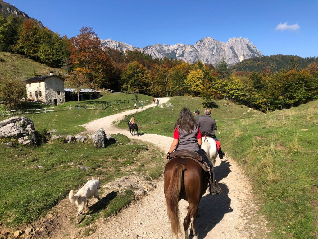 Avvicinamento al Horsemanship (attività di avvicinamento al cavallo)