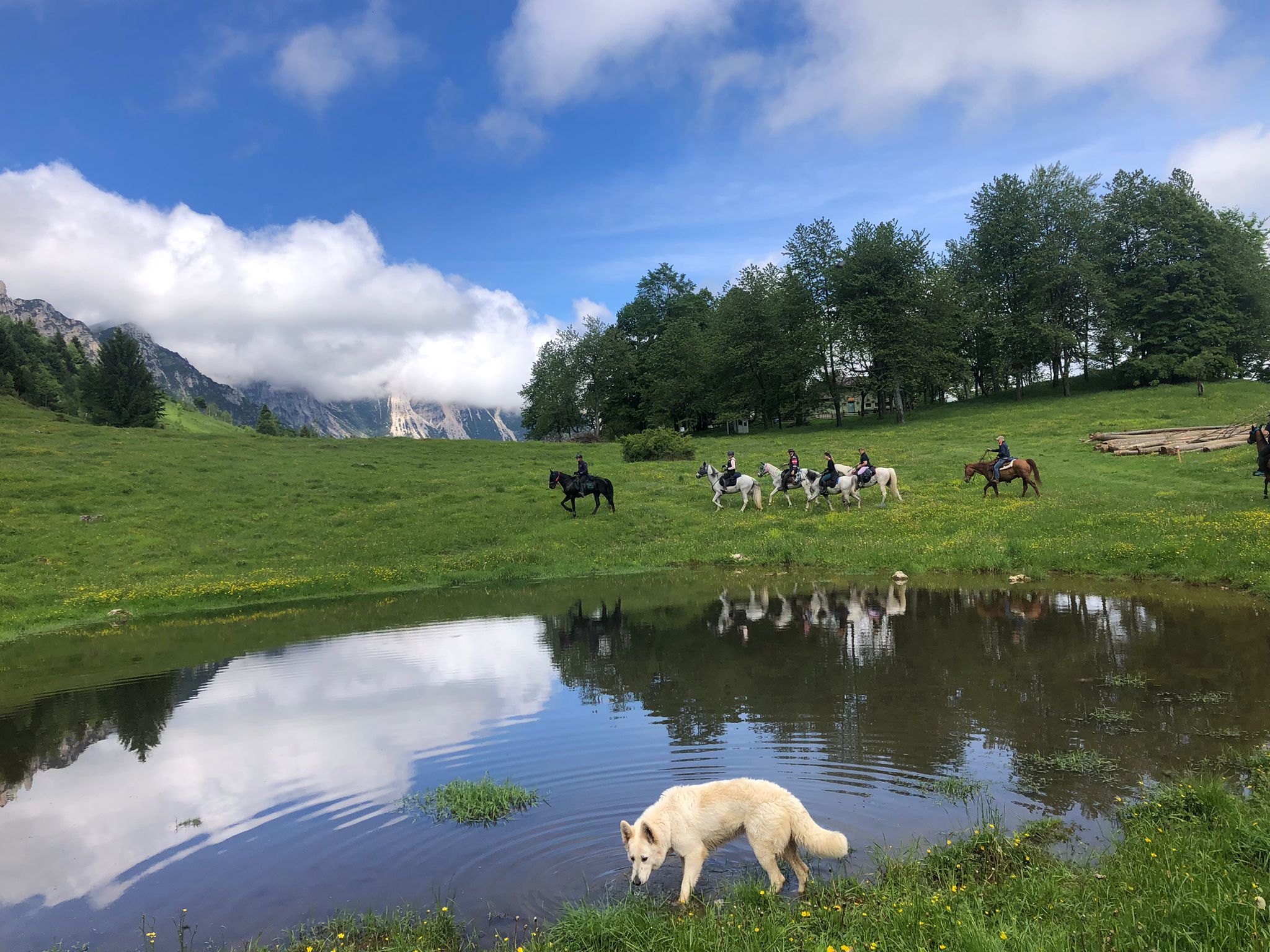 Wade Horseman Ranch