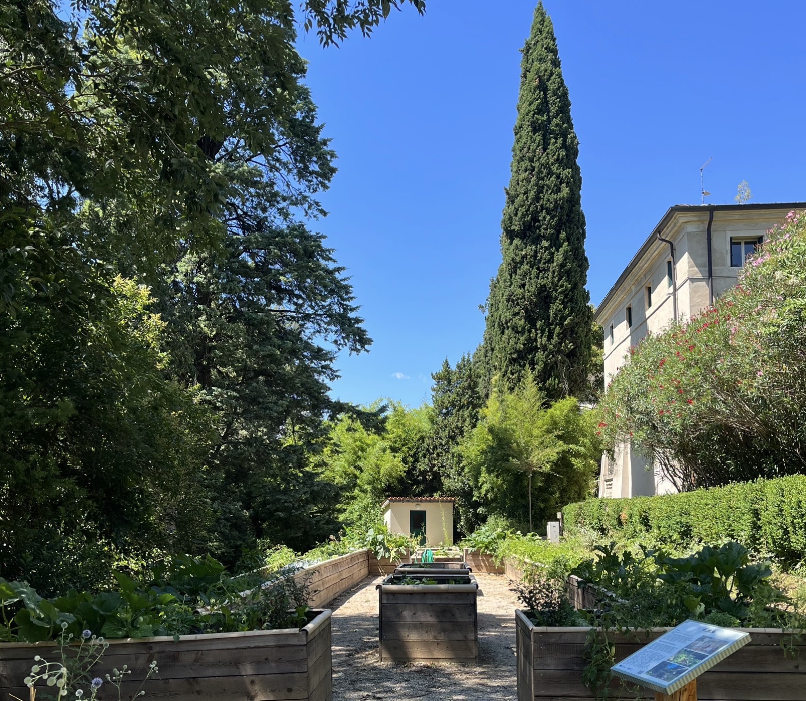 Lezioni di Pilates nel Bosco di Villa Valmarana ai Nani