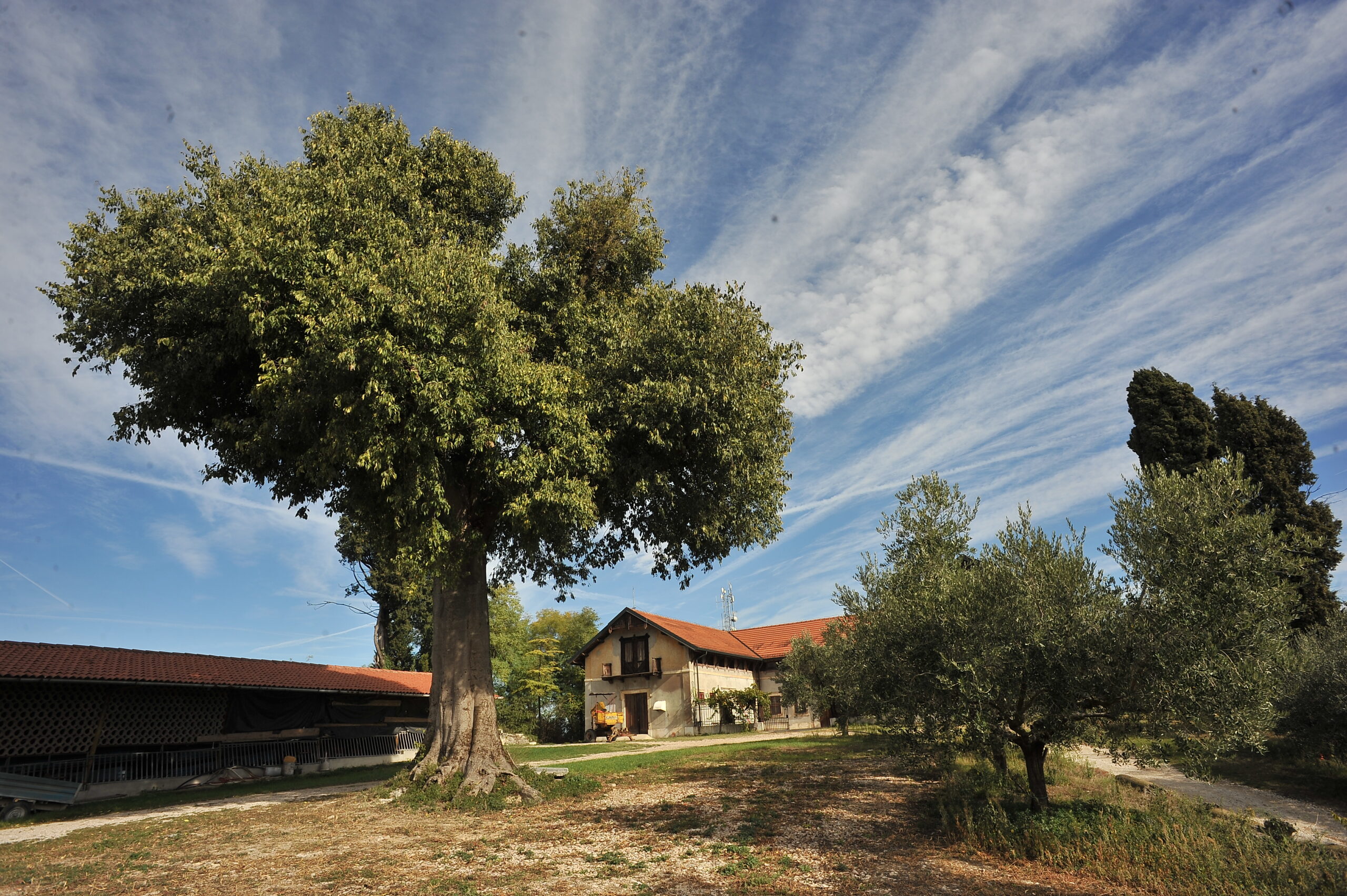 Cantina Santa Colomba