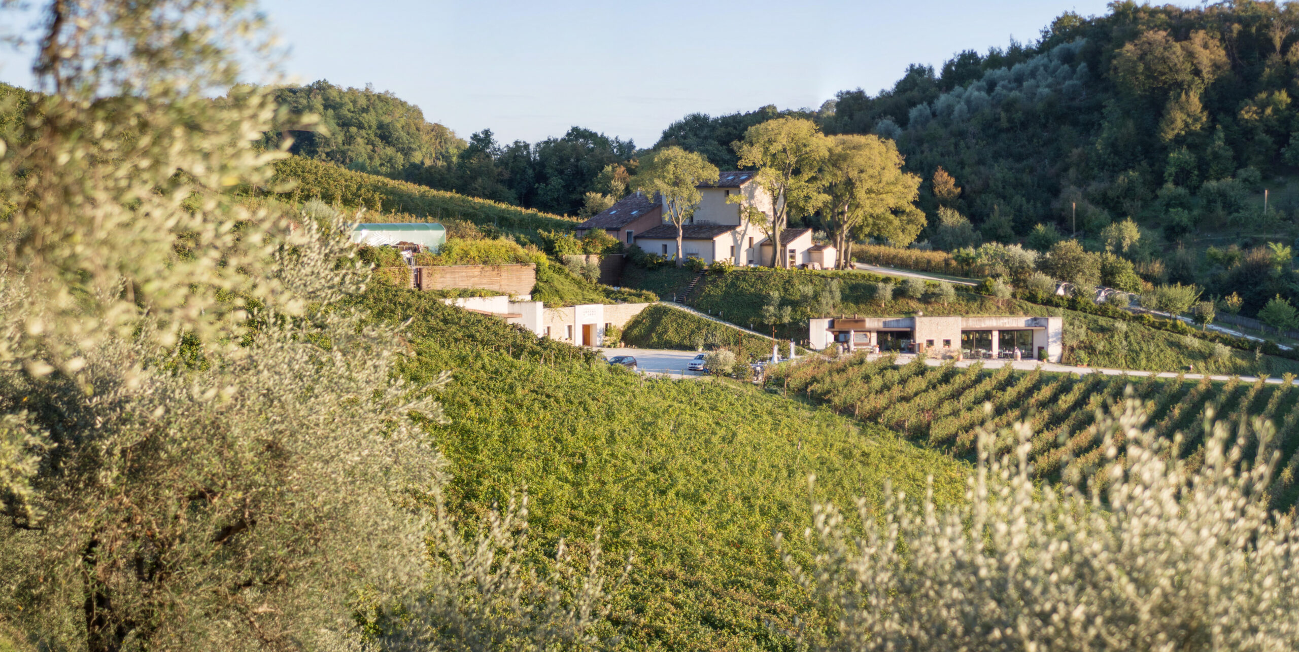 Vignaioli Contrà Soarda