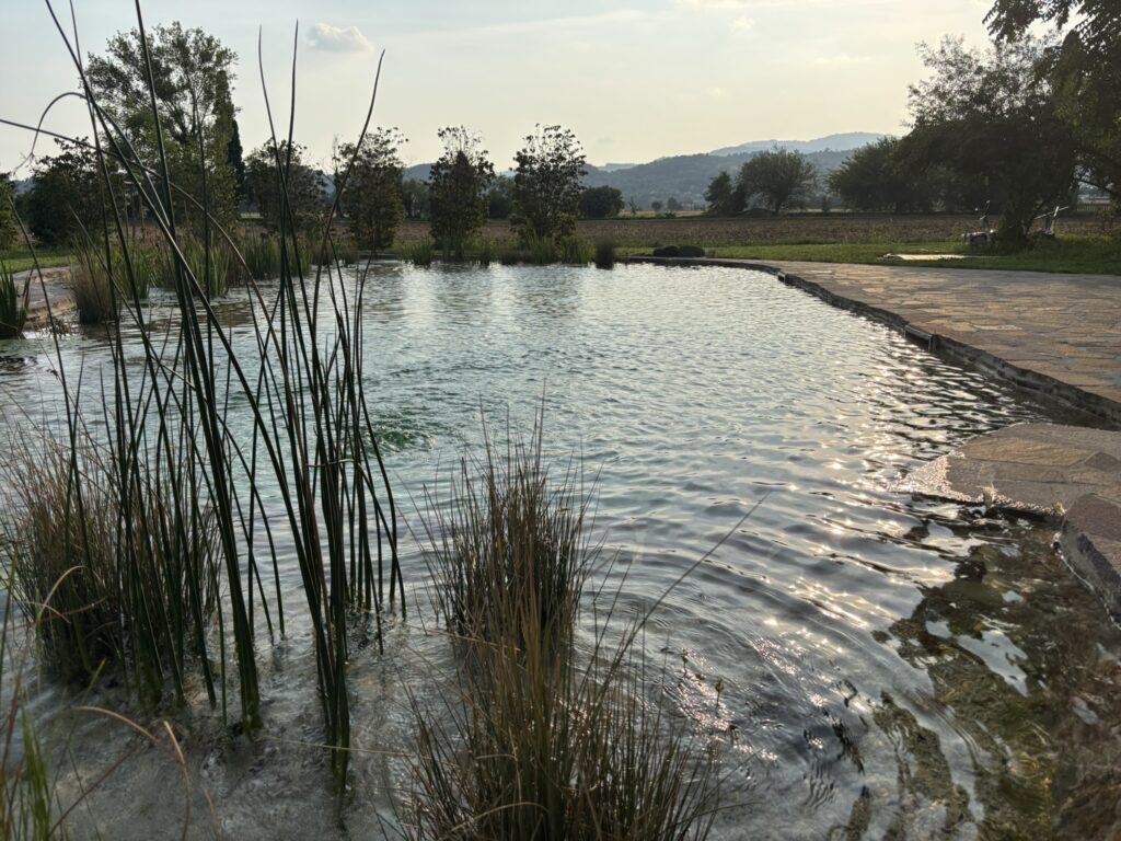 Visita a Villa da Schio – Castelgomberto