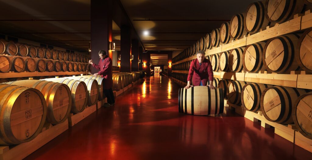 Scopri l’unica distilleria italiana consigliata da Lonely Planet