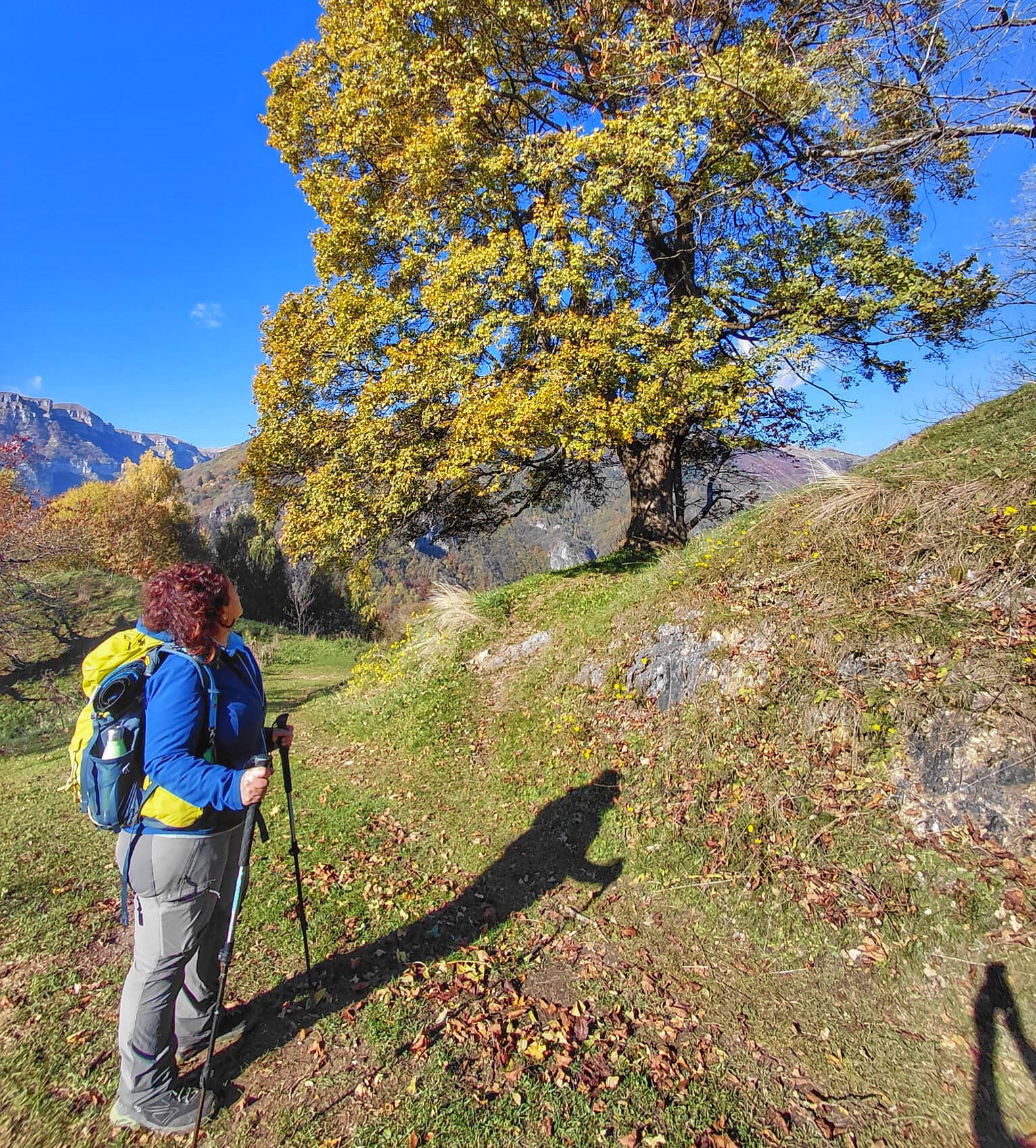 Litteralia – Viandanti DiVersi
