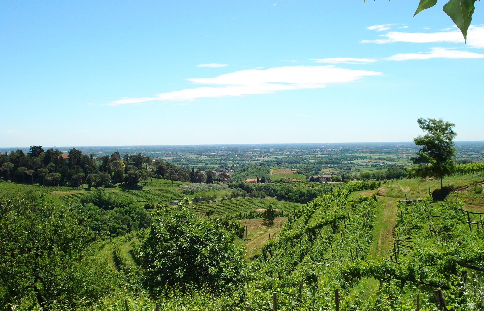 Breganze