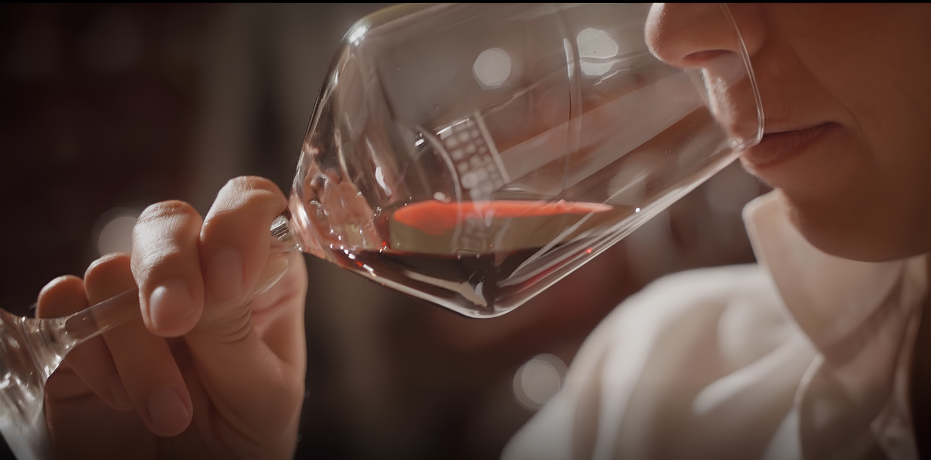 Le degustazioni di vini DOC dei Colli Berici nelle cantine del territorio