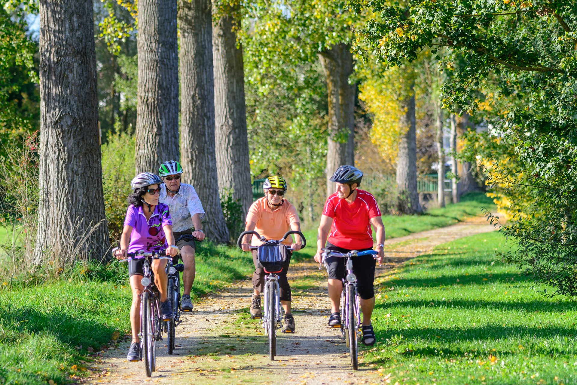 Pedalare lento, scoprire tutto