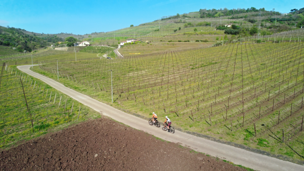 Tour bike tra i sapori