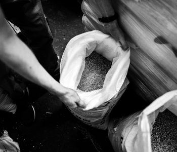 Tour di degustazione delle birre Ofelia