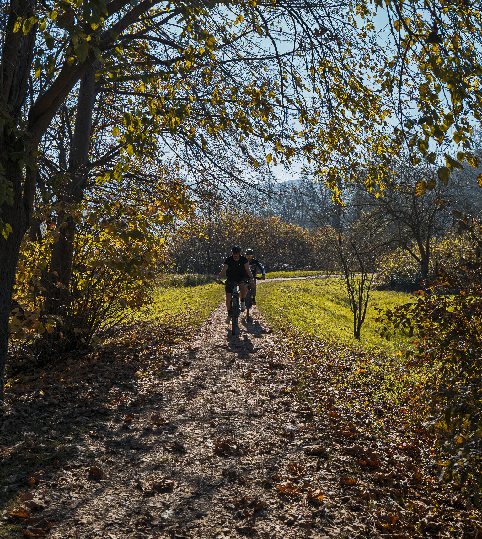 Il ‘Safari dei Berici’: Tour in E-Bike