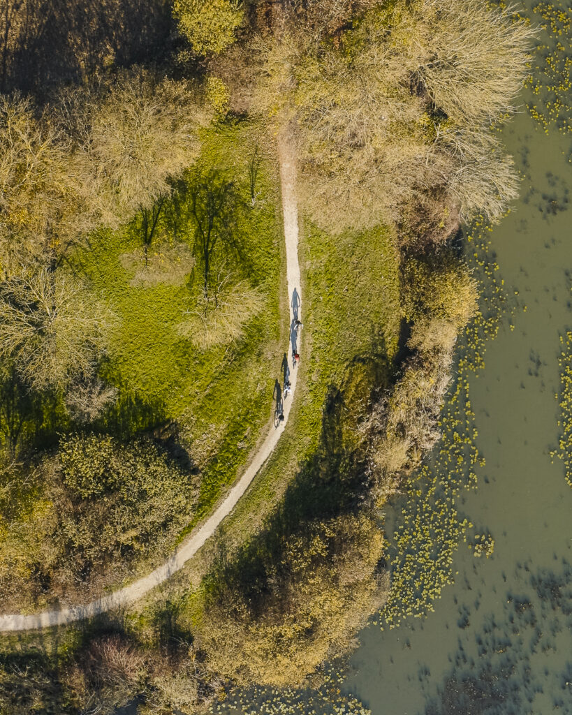 Il ‘Safari dei Berici’: Tour in E-Bike