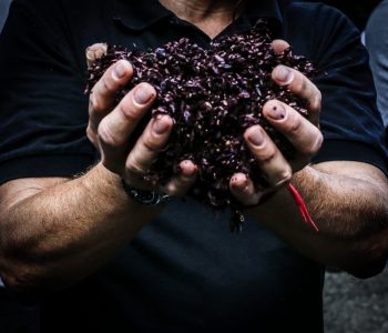 Visita al Museo Giuseppe Schiavo con degustazione grappe