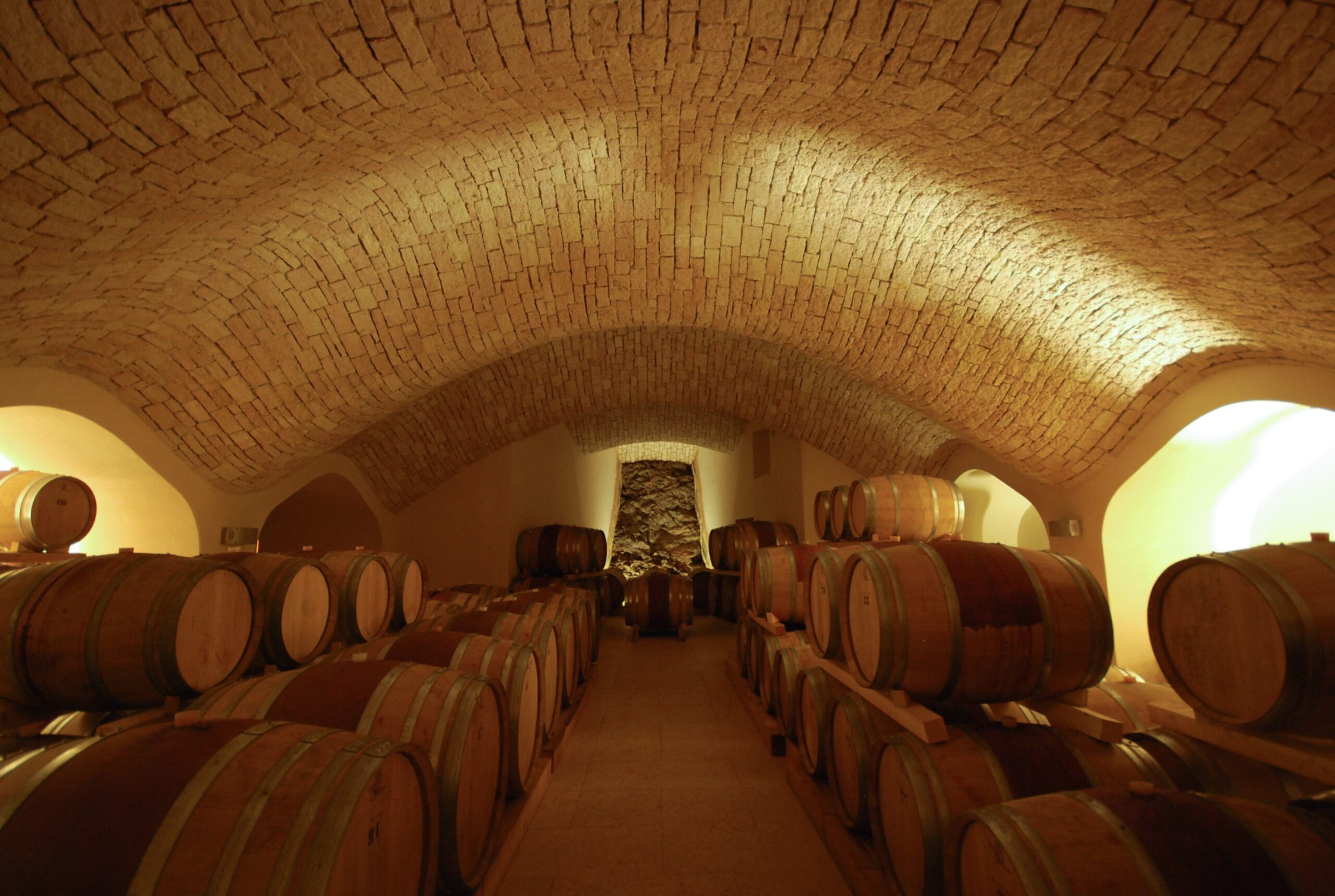 Degustazione e Visita in Cantina Biologica