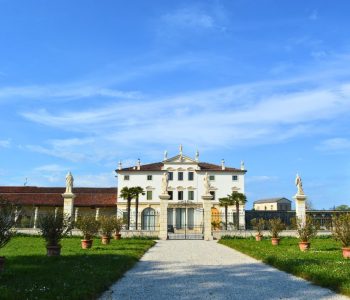 Tour in Villa con brindisi
