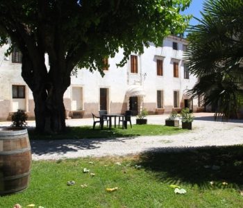 Gin Experience: alchimista per un giorno