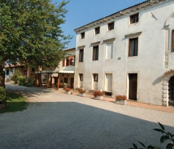 Gin Experience: alchimista per un giorno