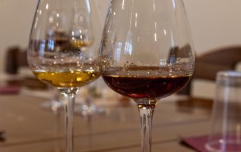 Gin Experience: alchimista per un giorno
