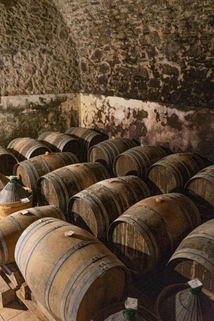 Terroir Experience