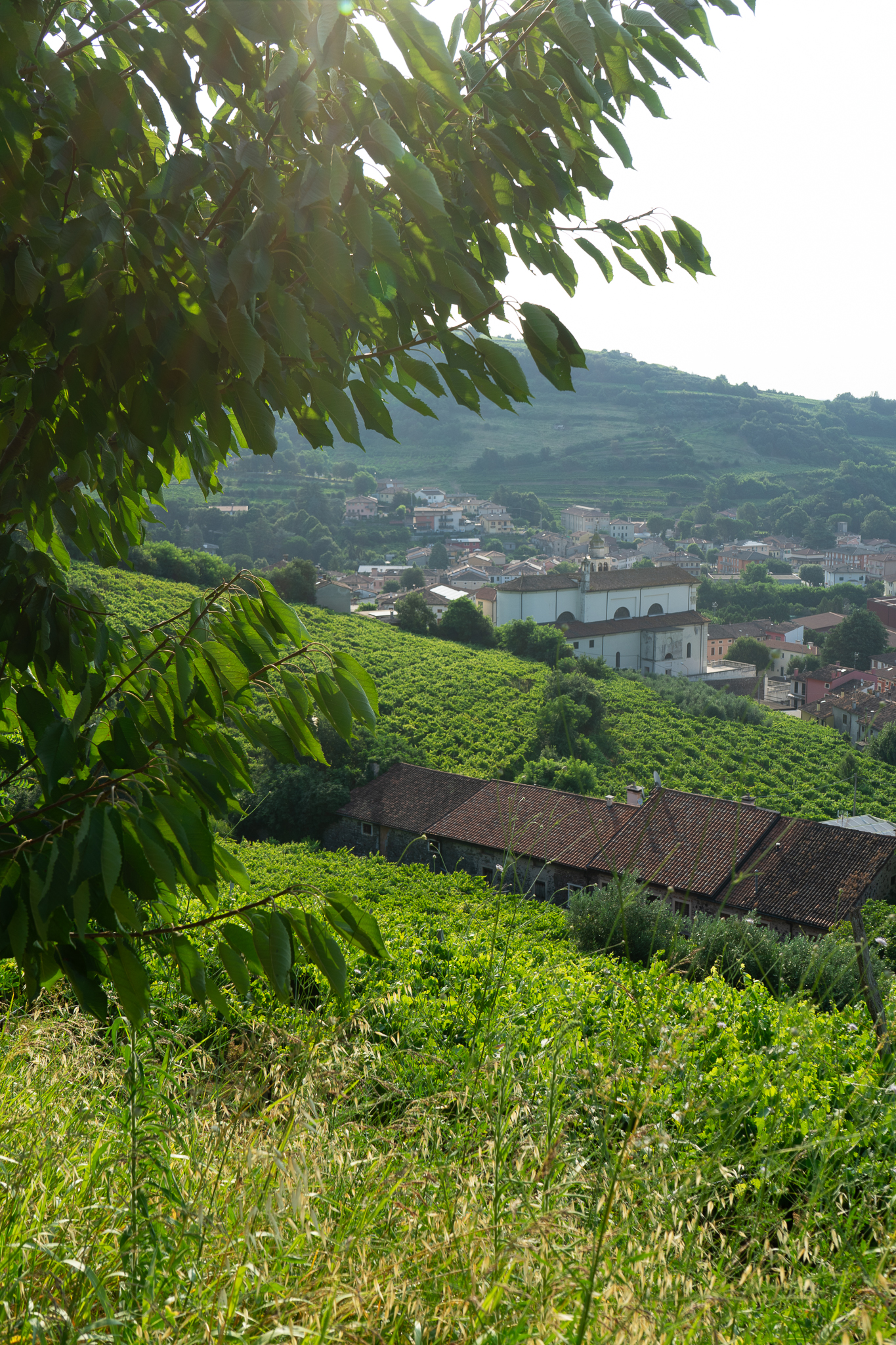 Terroir Experience