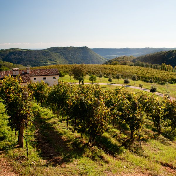 Nell’alta Valle del Gazzo, tra cave e olivi