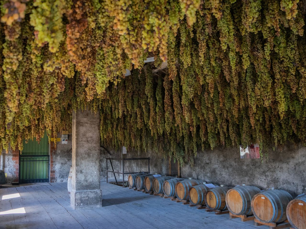 Azienda Agricola Giovanni Menti
