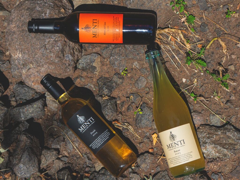 Terroir Experience