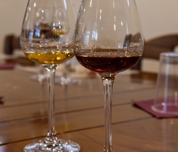 Attorno a Montegalda, nell’oasi della Distilleria Brunello