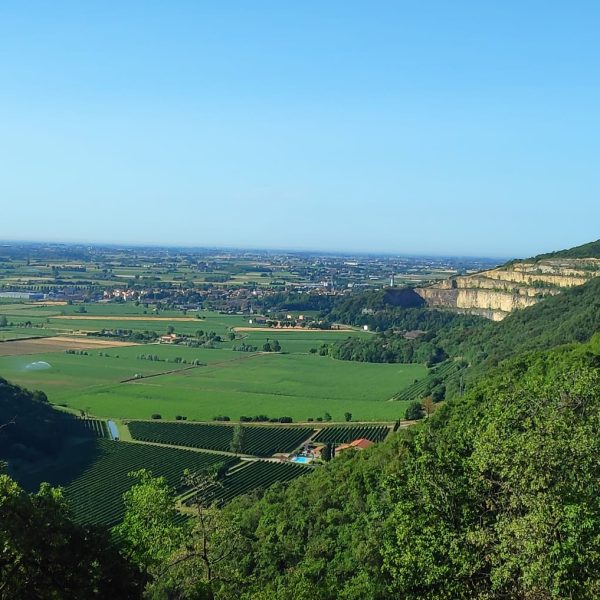 Belvedere da gustare