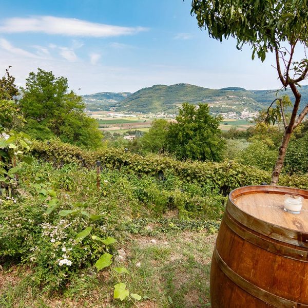 In Val Liona, l’arte del ferro e della birra genuina