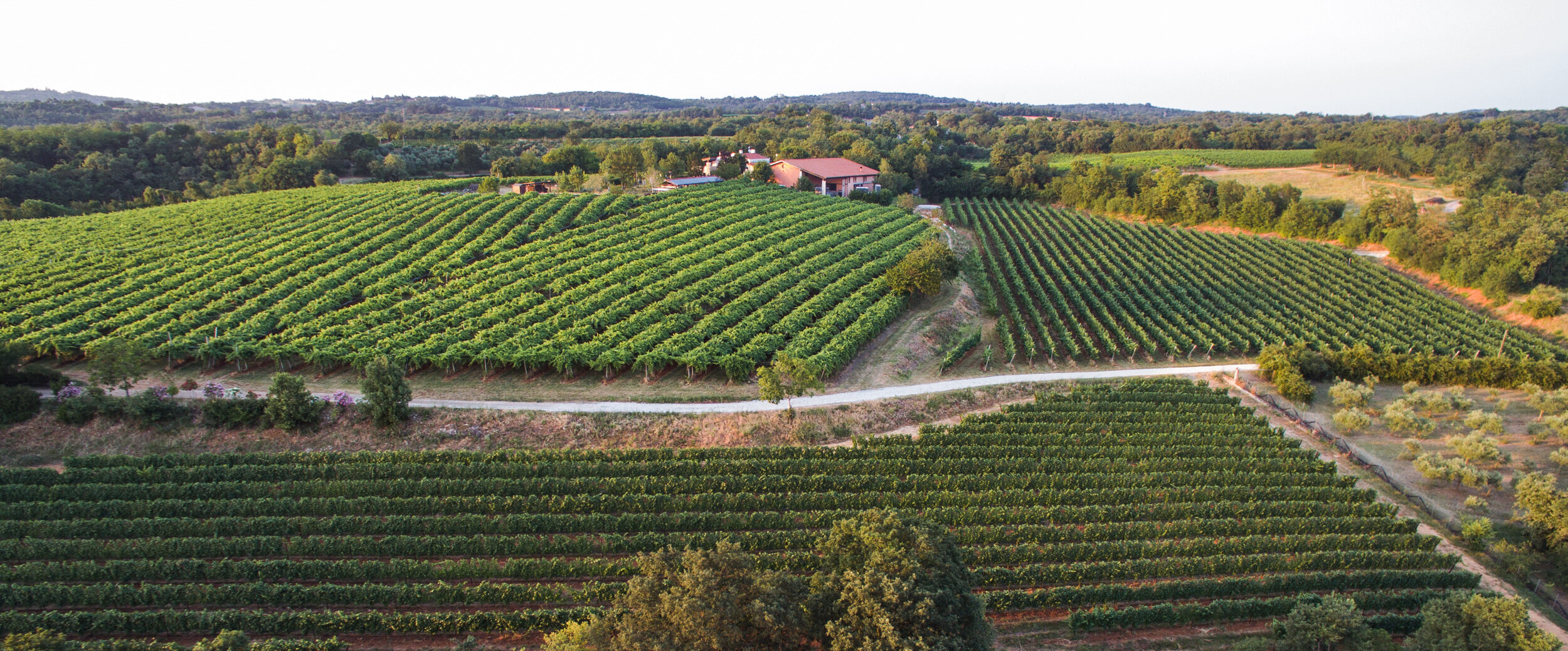 Cà Rovere Azienda Agricola