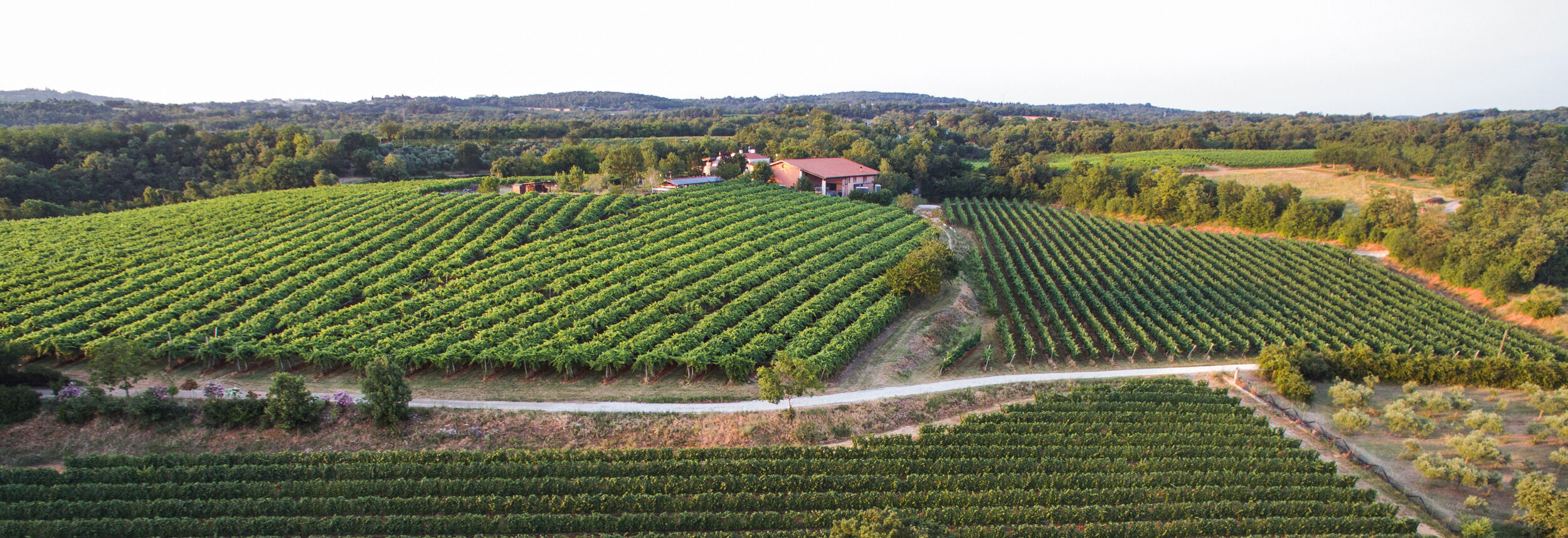 Cà Rovere Azienda Agricola